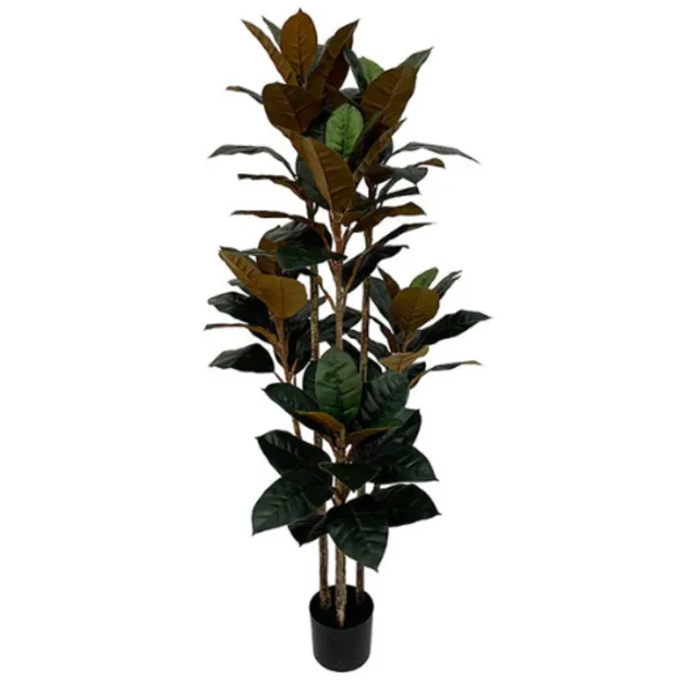 NeverLeafs Rubberboom kunstplant 160 cm - Ficus elastica met 3 stammen Groen