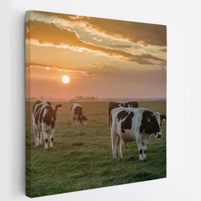 Saammp Canvas Schilderij - 4 Koeien met mooie lucht - Natuur - nederland - 100x100 - Foto op canvas - Wanddecoratie - Muurdecoratie Woonkamer - Slaapkamer decoratie - Canvas Print Multicolor