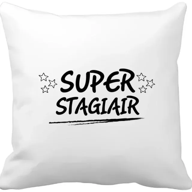 Akyol super stagiair Kussen hoes - Stagiair - beste stagiair - werk - afscheidscadeau - verjaardagscadeau - kado - 40 bij 40 cm Multicolor