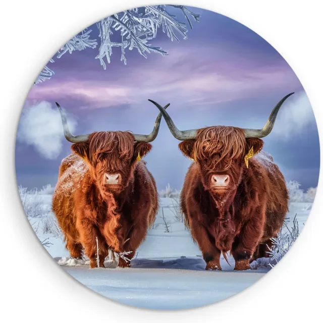 Saammp Muurcirkel Hout Schotse Hooglander Koe in de mist - Dieren - Natuur - Ø 50 - Wandcirkel - Wanddecoratie Cirkel - muurdecoratie Woonkamer - Slaapkamer decoratie - Rond Schilderij