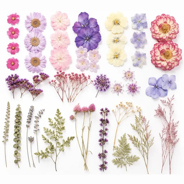 BOTC Natuurlijk Gedroogde Bloemen - Droogbloemen - 70 Stuks - Gypsophila Bloemen - Hars Nail Art - DIY Knutselen - Geperste Bloemen Kleurrijk 1 Paar