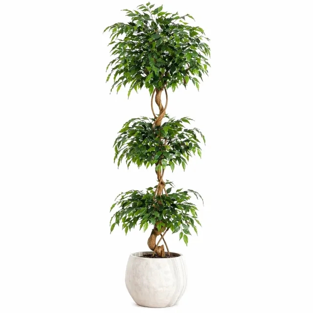 Sello! kunstplant – realistische design – luxe uitstraling – levensecht – voor binnen en buiten – naar wens te vormen – onderhoudsvrij – inclusief pot – meer dan 1449 bladeren – 180 cm. groen