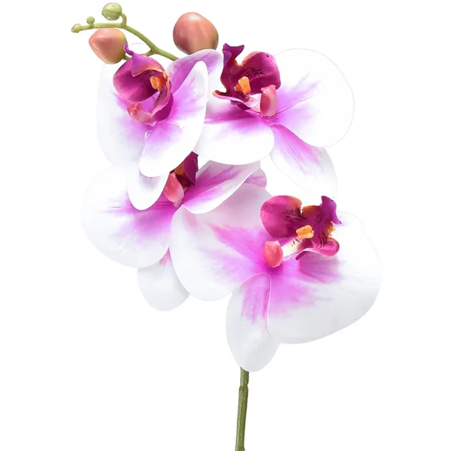 DPI GmbH Orchidee Kunst Phalaenopsis 4 Bloemen Wit Roze 72cm