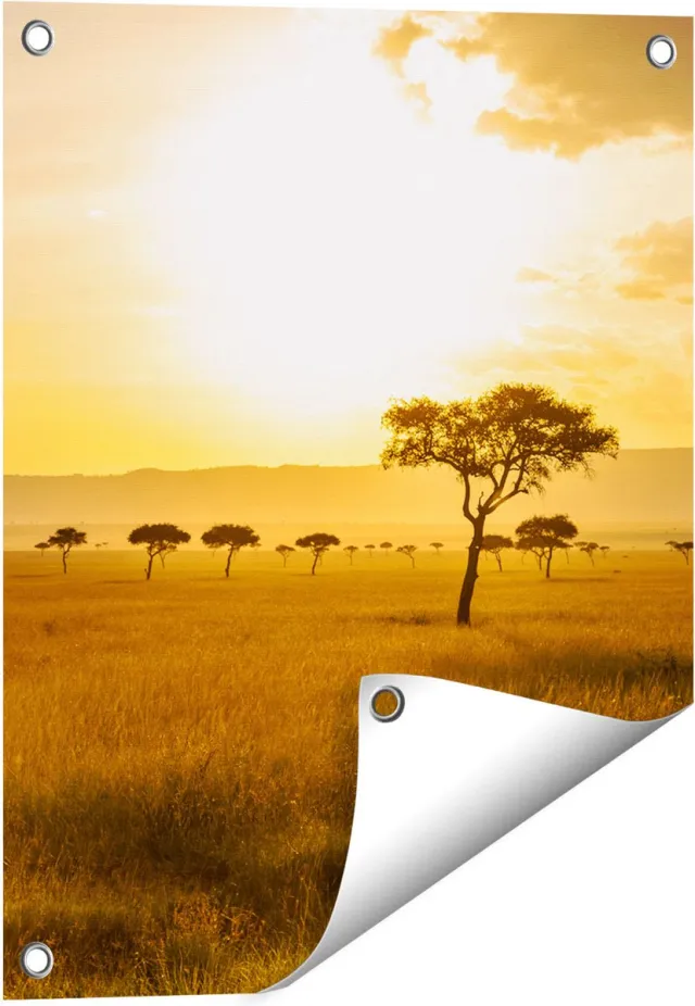 Gards Tuinposter Zonsondergang in de Savanne - 40x50 cm - Tuindoek - Tuindecoratie - Wanddecoratie buiten - Tuinschilderij Multikleur
