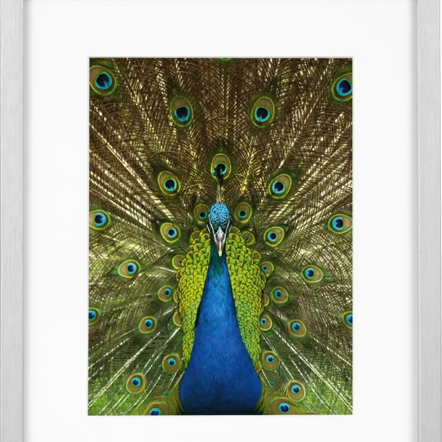 Goldbuch Fotolijst Pino - Zilver - 13x18 cm (20x25 cm)