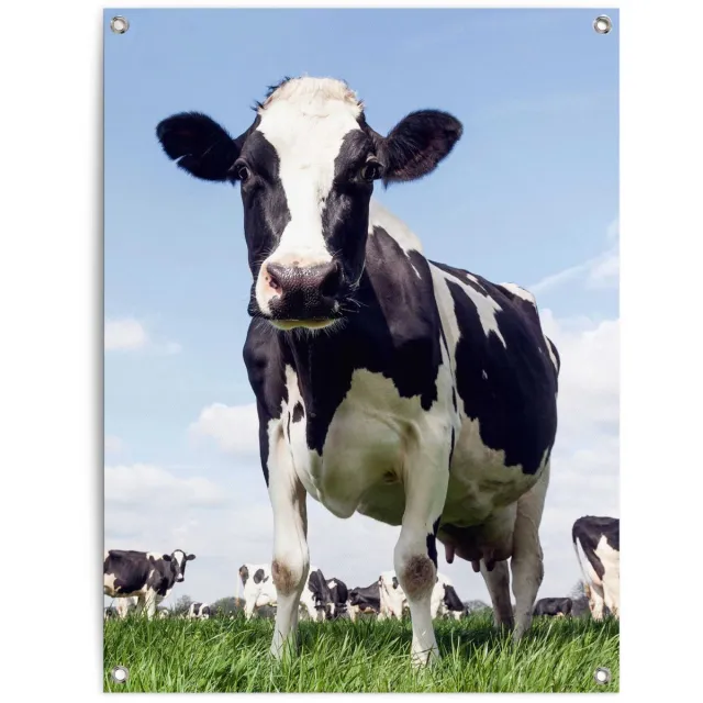 Tuinposter Dutch Cow - 80 x 60 - Canvas - REINDERS