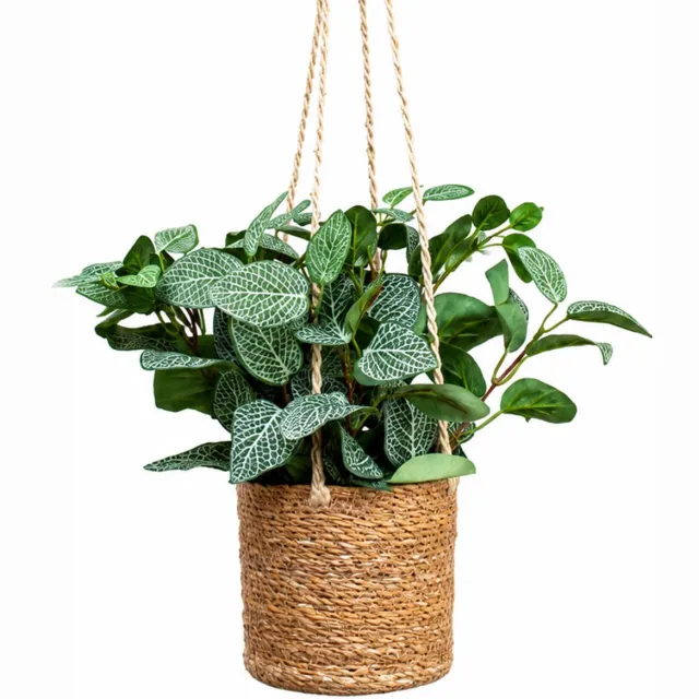HTT Decorations Kunstplant Pilea bush in hangmand naturel L100cm Groen