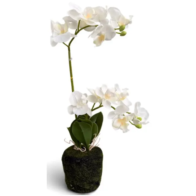 Oosterik Home Orchidee wit in pot H 38 cm kunstplant Oosterik Home onbekend