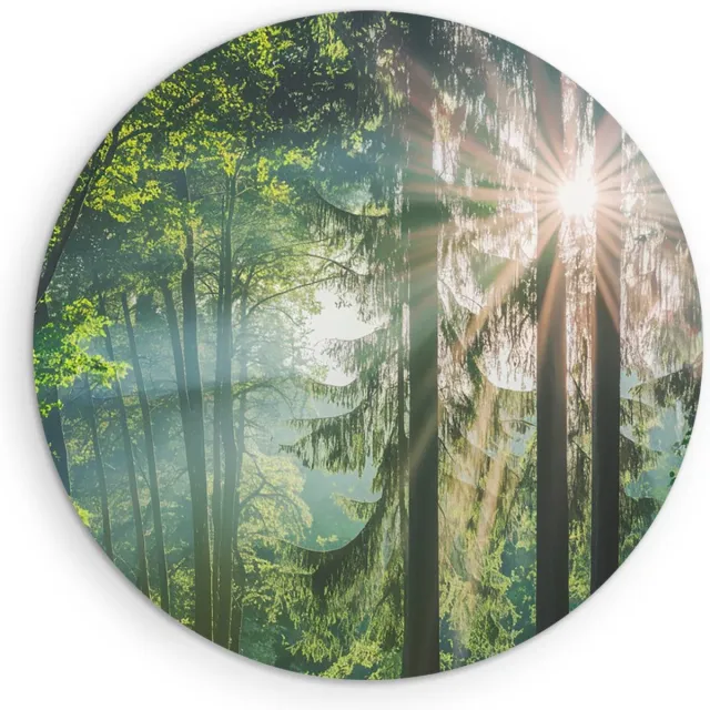 Saammp Forex Muurcirkel - Zon tussen de bomen - Bos - Landschap - Natuur - Ø 40 - Wandcirkel - Wanddecoratie Cirkel - Muurdecoratie Woonkamer - Slaapkamer decoratie - Rond Schilderij