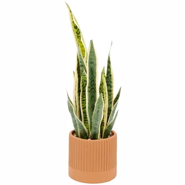 Atmosphera Sansevieria Nippo Kunstplant met Pot - Ø21xH78cm - Oranje Groen