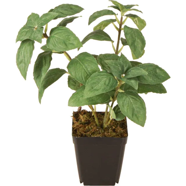 Viana Kunstmatige Basilicum in Pot Kruiden in Groen H22cm groente