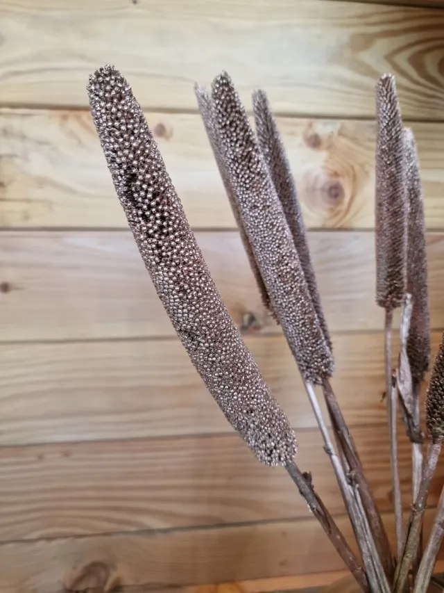 Wonders at Home Official Droogbloem Babala - Koper - 70 cm -Pampasgras – Pampas Pluimen - Droog Boeket - Beige - Natural - Copper Koperrr