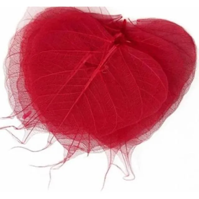 PacklinQ Skeleton leaves , L: 6-8 cm, rood, 20 stuk/ 1 doos
