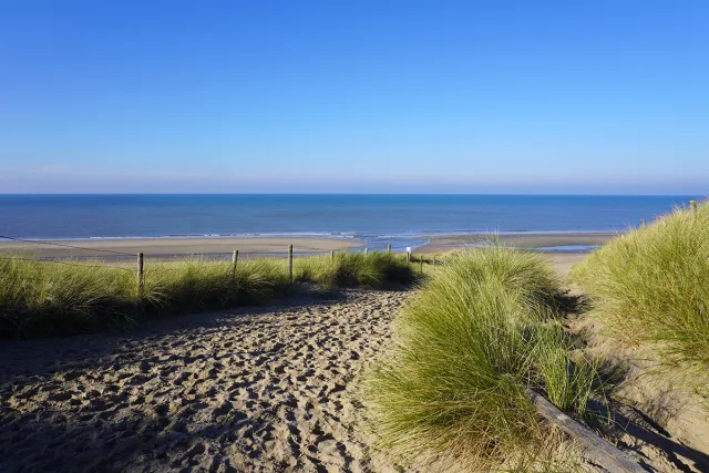 Texelphotos.nl Foto afdruk als tuinposter – Texel Duinpad - Duinen - Strand - Zee - Zonsondergang - Noordzee – Wanddecoratie - Tuinposter – Natuur - Landschap - 90 x 60 cm. Duinpad helmgras