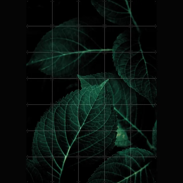 IXXI Dark Leaves, Mareike Böhmer - 100 x 140 cm - Grote wanddecoratie en posters - Fotografie, Naturalisme, Woonkamer, Slaapkamer, Botanisch, Natuur Groen / Donkere tinten / Warme kleuren