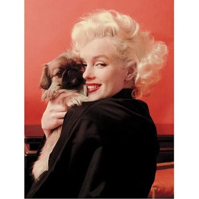 Pyramid Marilyn Monroe - Love Kunstdruk 30x40cm Divers