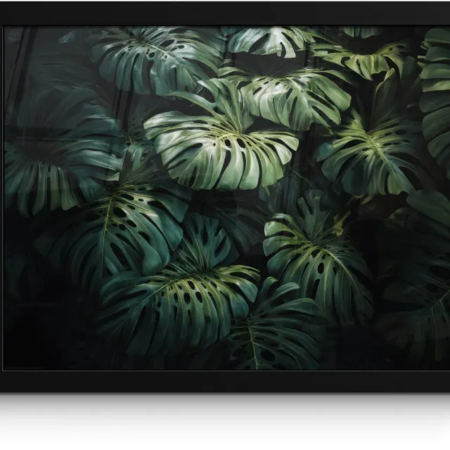 FrameYourWall Poster in lijst - Fotolijst 40x30 cm - Posters - Plant - Monstera - Lichtinval - Posterlijst zwart - Decoratie - Wanddecoratie woonkamer - Muurdecoratie slaapkamer Bladeren - Glad