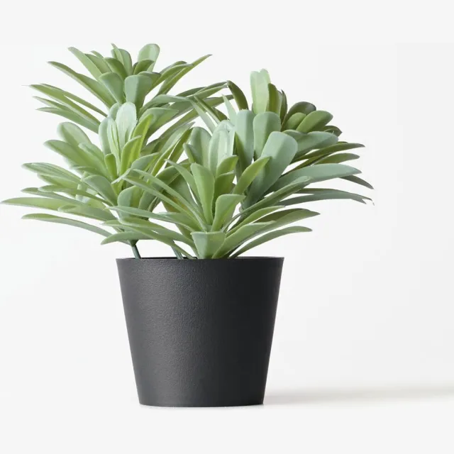 HEMA Kunstplant vetplant 55cm (groen)