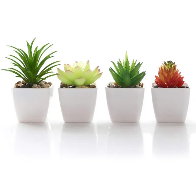 Ibenzoa Kunstmatige Mini Vetplanten in Moderne Vierkante Witte Bloempot voor Stijlvolle Interieurdecoratie