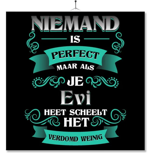 MC Living Tegel Met Opdruk | Kado | Cadeau | Niemand Is Perfect Maar Als Je Evi Heet Scheelt Het Verdomd Weinig Multi-Color