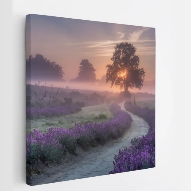 Saammp Canvas Schilderij - Lavendelveld met mist - Natuur - Landschap - 60x60 - Foto op canvas - Wanddecoratie - Muurdecoratie Woonkamer - Slaapkamer decoratie - Canvas Print Multicolor