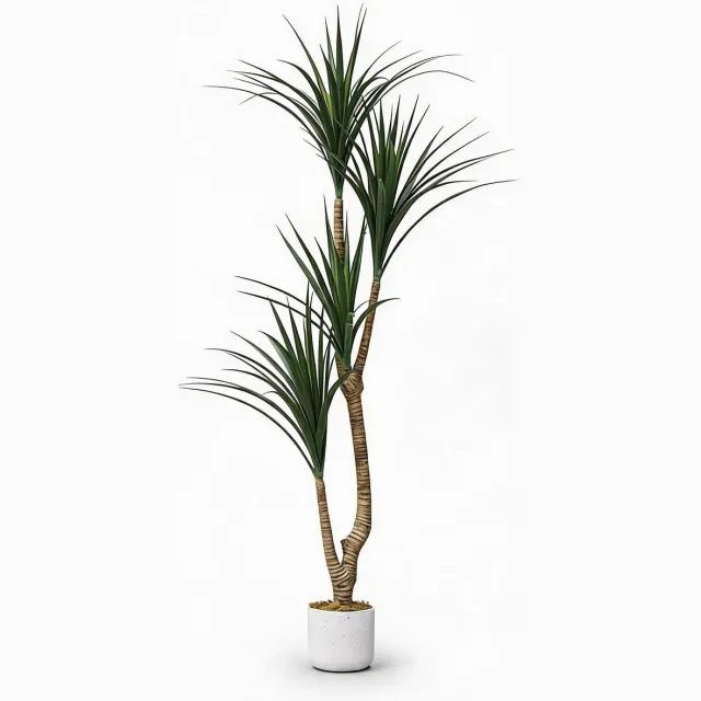 Triumounpre Triumpunpre natuurgetrouwe kunst Dracaena Marginata 165cm PEVA PE - UV-bestendige tropische kunstgroenplant met verzwaarde pot voor huis en kantoor