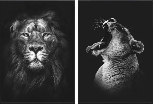 No Filter Zwart/wit posters - Dieren - 2 stuks - 50x70 cm - Leeuw & Leeuwin