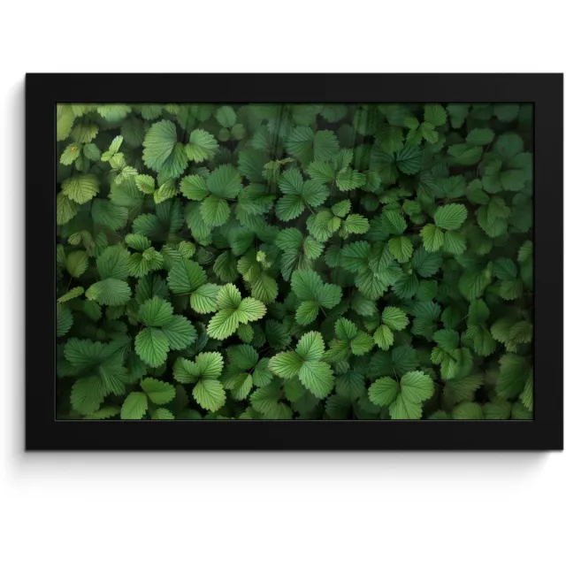FrameYourWall Poster in lijst - Fotolijst 30x20 cm - Posters - Groen - Bladeren - Kartel - Zonlicht - Posterlijst zwart - Decoratie - Wanddecoratie woonkamer - Muurdecoratie slaapkamer