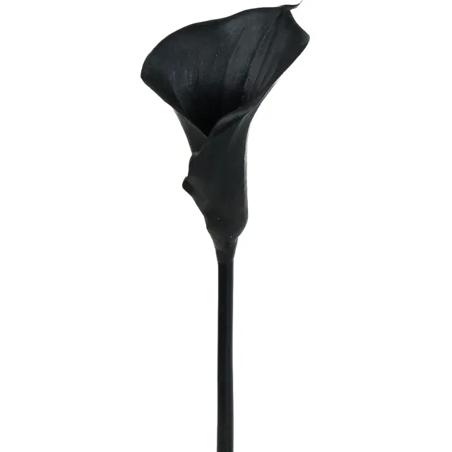 Viana Deco Calla Zwart 75cm