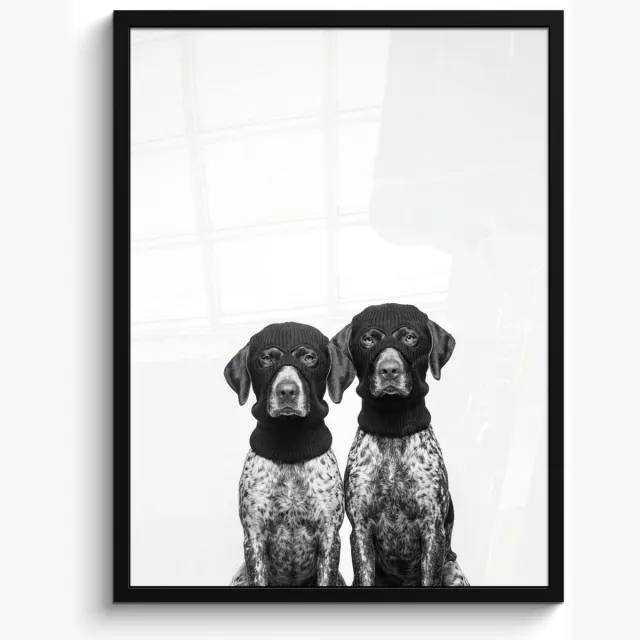 FrameYourWall Poster in lijst - Fotolijst 50x70 cm - Posters - Honden - Bivakmuts - Zwart - wit - Posterlijst zwart - Decoratie - Wanddecoratie woonkamer - Muurdecoratie slaapkamer