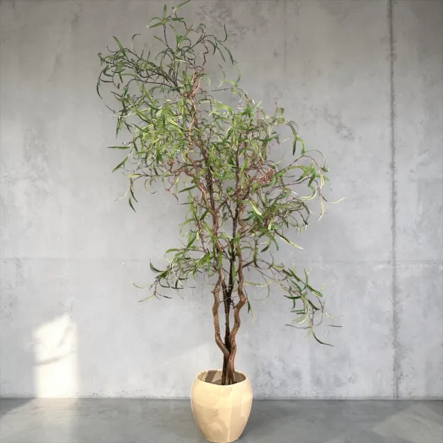 Seta Fiori Kunst Krulwilg Boom 170 cm - Handgemaakt in Nederland - Echte Houten Takken - Groene Kunstboom voor Binnen Bruin