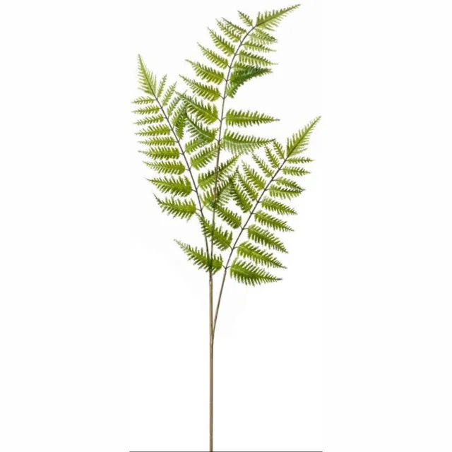 Louis Maes varentak x3 l80cm groen Louis Maes onbekend