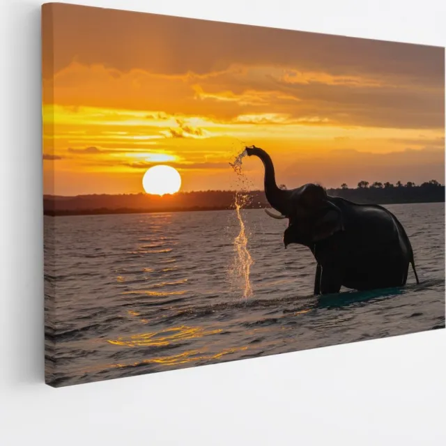 Saammp Canvas Schilderij - Spelende Olifant in het water - Dieren - 90x60 - Foto op canvas - Wanddecoratie - muurdecoratie Woonkamer - Slaapkamer decoratie - Canvas Print Multicolor