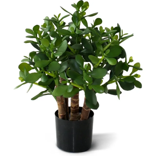maxifleur Kunstplanten Crassula kunst vetplant 40cm Groen