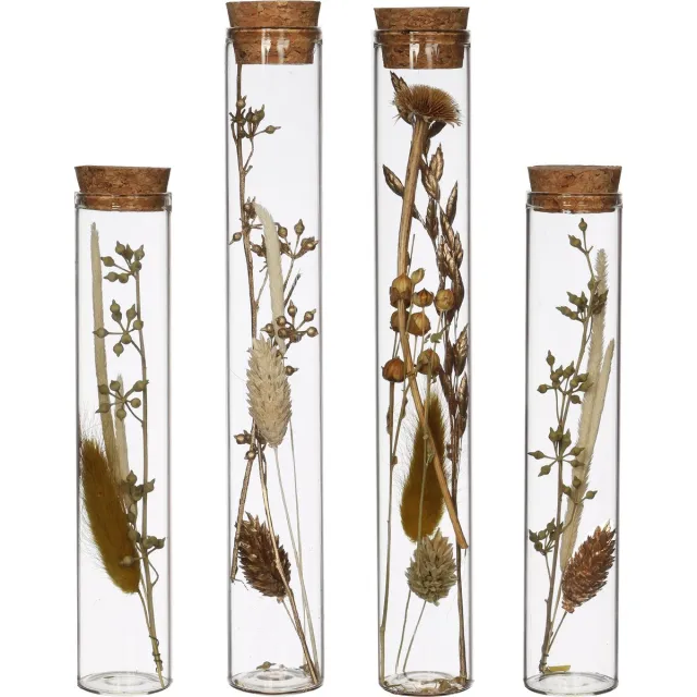 comforder Droogbloemen in Glas - Gedroogde Bloemen Boeket met Vaas - Set van 4 - Inclusief Vaas - In Fles Natuurlijk