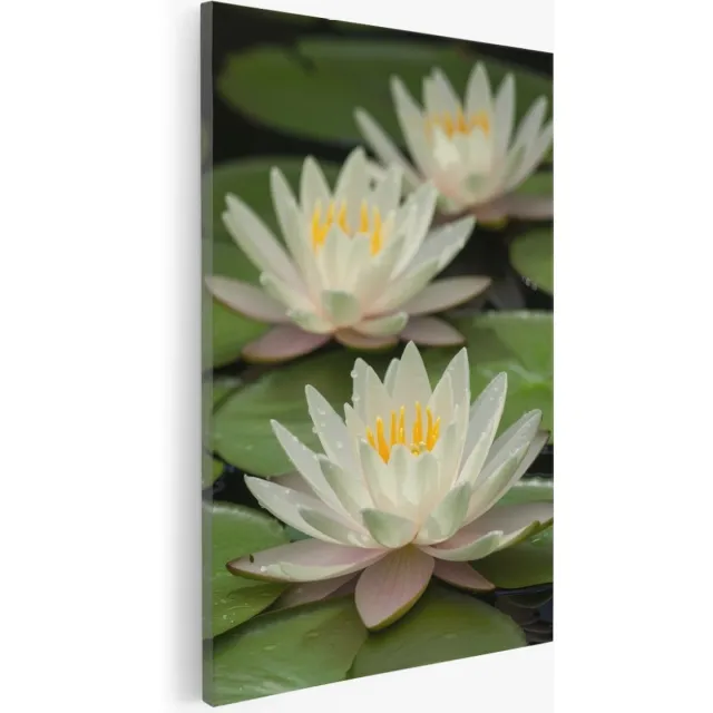 Saammp Canvas Schilderij - Witte Lotusbloemen - Natuur - Bloemen - 20x30 - Foto op canvas - Wanddecoratie - Muurdecoratie Woonkamer - Kantoor Decoratie Multicolor