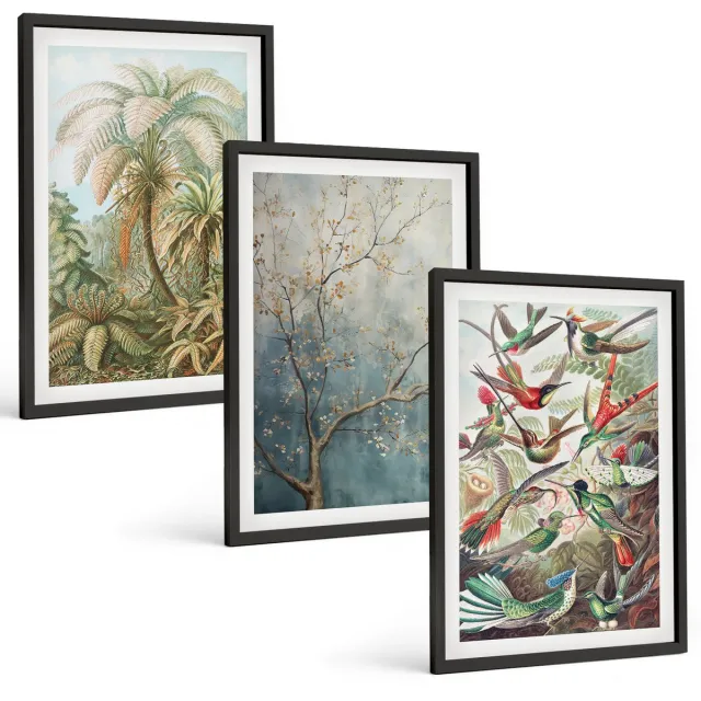 Coloray 3-Delige Schilderij Set - Tropische Planten En Kleurrijke Vogels In De Natuur - 40 x 60 cm - Stijlvolle Muurdecoratie - Slaapkamer - Wanddecoratie Zwarte lijst