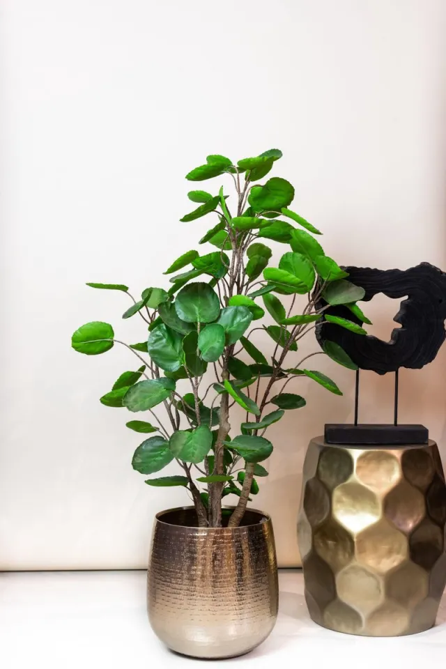 Green Harmony Plants Kunstplant - Polyscias - Aralia - 105 cm Bruin