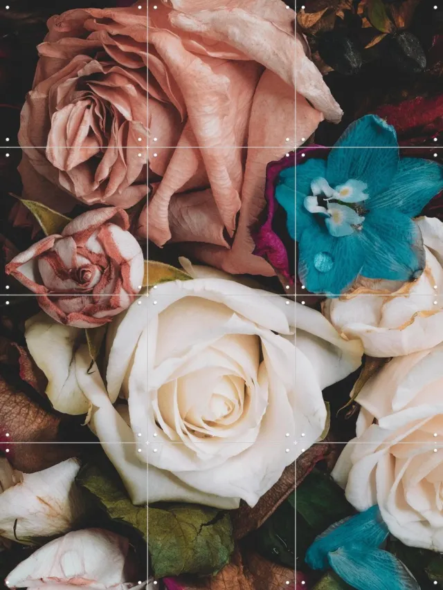 IXXI Reflection, Leigh Viner - 60 x 80 cm - Grote wanddecoratie en posters - Fotografie, Vintage, Trap, Woonkamer, Slaapkamer, Bloemen, Boeket Roze
