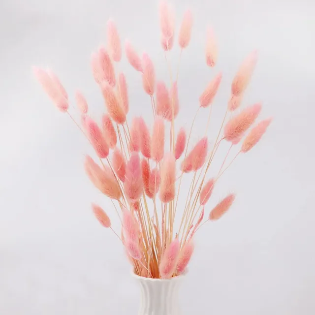 Ibenzoa Boho-Stijl Gedroogd Pampasgras Decoratie voor Huis en Bruiloften - 50 Stuks Roze