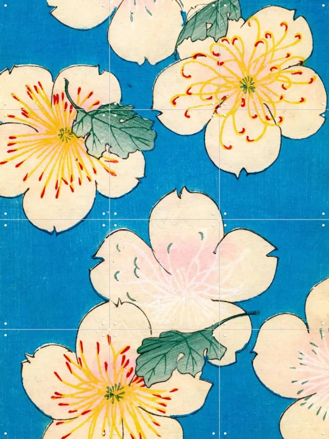 IXXI Dogwood Blossoms 1883, Bridgeman Images - 60 x 80 cm - Grote wanddecoratie en posters - Klassiek, Illustraties, Houtsnede, Ukiyo-e, Vintage Blauw