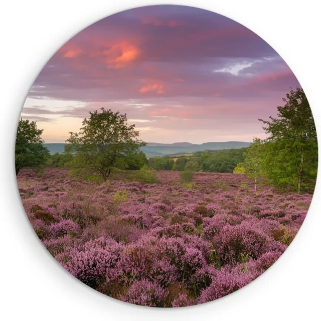 Saammp Muurcirkel Hout - Groot lavendelveld - Landschap - Natuur - Ø 30 - Wandcirkel - Wanddecoratie Cirkel - Muurdecoratie Woonkamer - Slaapkamer decoratie - Rond Schilderij