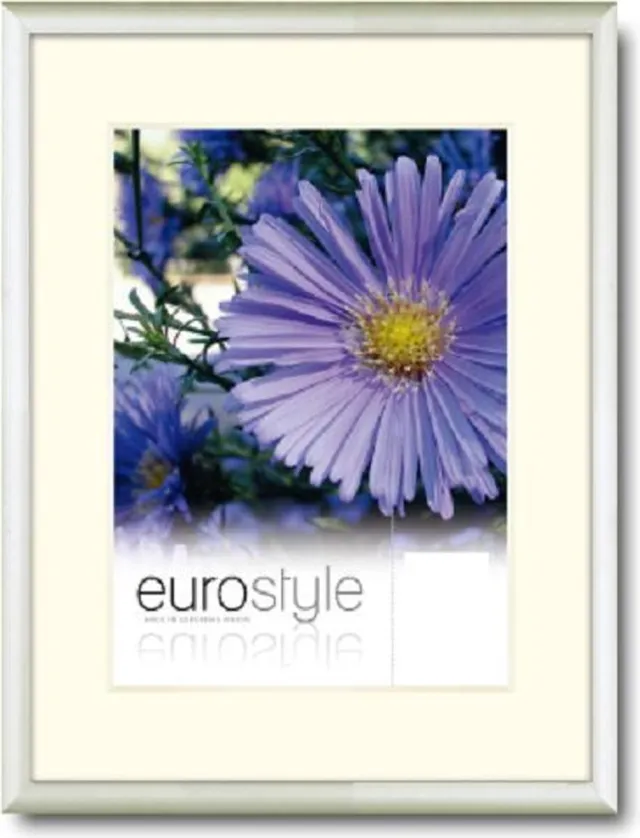 Defotolijstenspecialist DFS Aluminium Fotolijst Es Zilver 21x29.7 cm