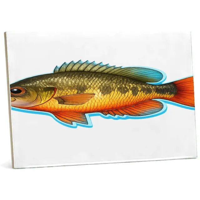 Mr Cadeautjes Tegel 15 x 20 cm - design Een realistische papegaai zijaanzicht met tropische kleuracc | cadeau Wit