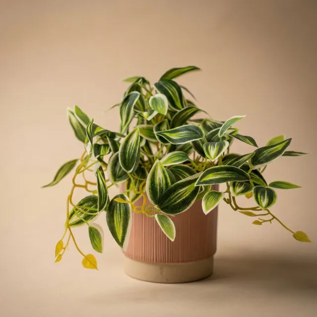 Emerald Tradescantia Groen/Wit in pot - 19 cm - Kunstplant