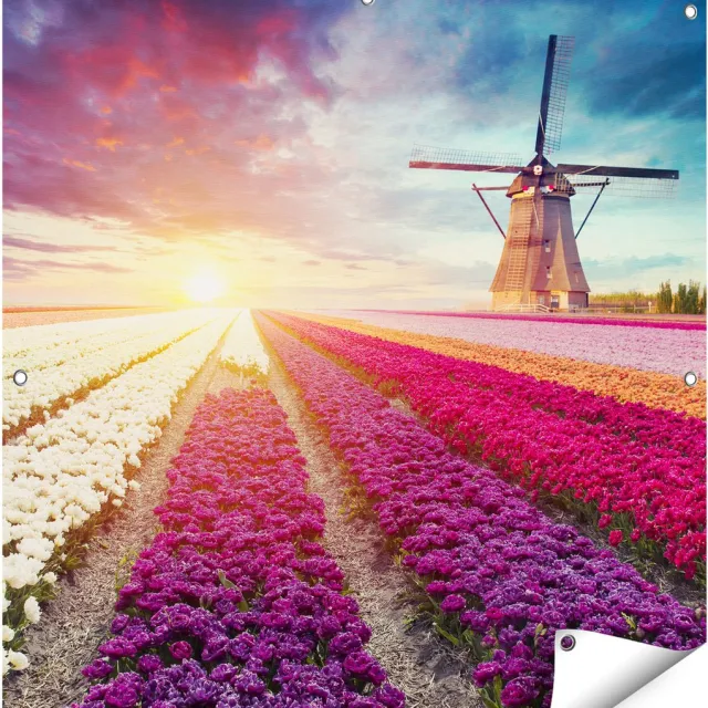 Gards Tuinposter Kleurrijke Tulpen Bloemenveld - Windmolen - 90x90 cm - Tuindoek - Tuindecoratie - Wanddecoratie buiten - Tuinschilderij Multikleur