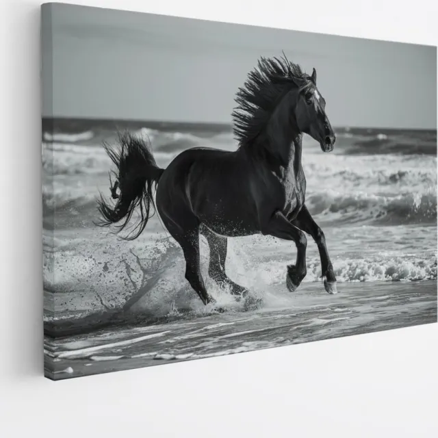 Saammp Canvas Schilderij - Paard in galop door de zee - Dieren - Natuur - 120x80 - Foto op canvas - Wanddecoratie - muurdecoratie Woonkamer - Slaapkamer decoratie - Canvas Print Multicolor