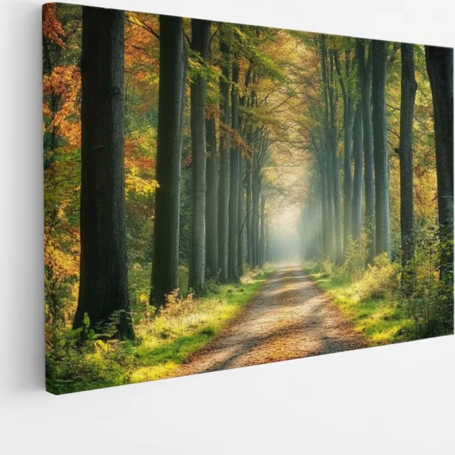 Saammp Canvas Schilderij - Natuur - bospad tussen de hoge bomen - landschap - 100x75 - Foto op canvas - Wanddecoratie - Muurdecoratie Woonkamer - Slaapkamer decoratie - Canvas Print Multicolor
