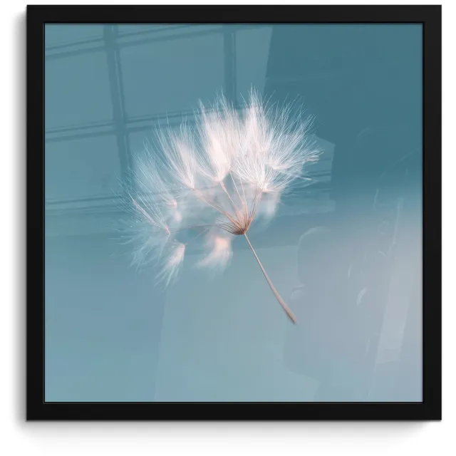FrameYourWall Poster in lijst - Fotolijst 40x40 cm - Posters - Paardenbloempluisje - Blauw - Lucht - Posterlijst zwart - Decoratie - Wanddecoratie woonkamer - Muurdecoratie slaapkamer