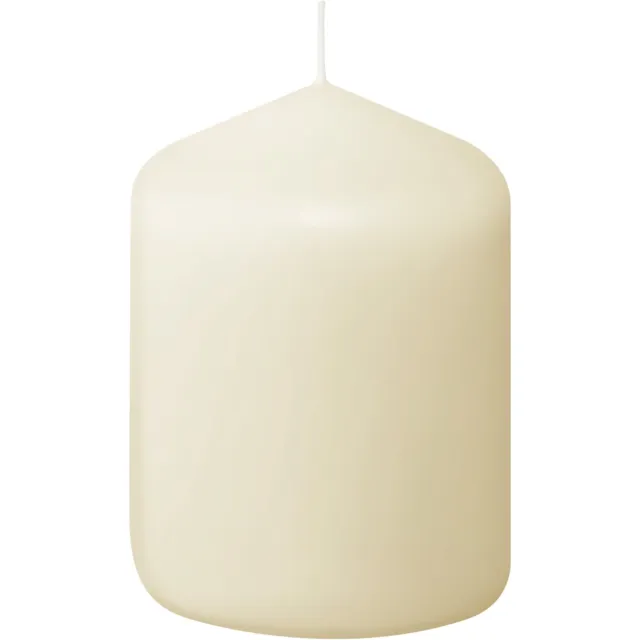 Bolsius 12x Bolsius Professional Stompkaarsen - Ivoor 80/60 (22 uur) - Rookarm
